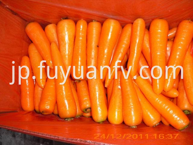 Carrot